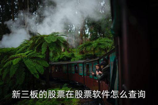 新三板的股票在股票软件怎么查询