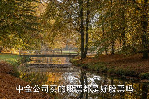 中金公司买的股票都是好股票吗