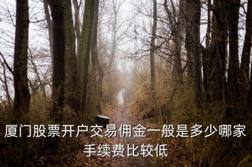 厦门股票开户交易佣金一般是多少哪家手续费比较低
