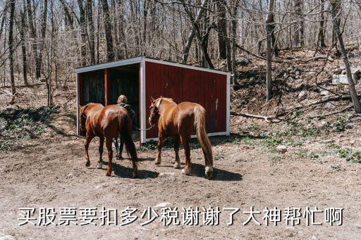 买股票要扣多少税谢谢了大神帮忙啊