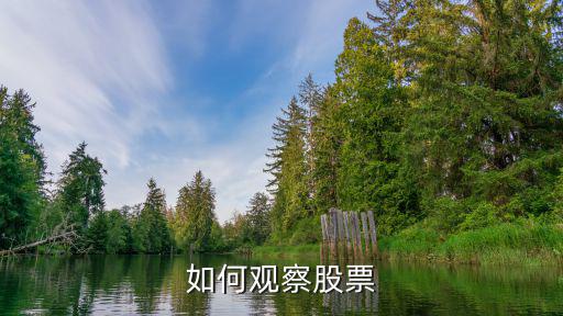 什么是观察股票的准则，选股时要知道哪些原则