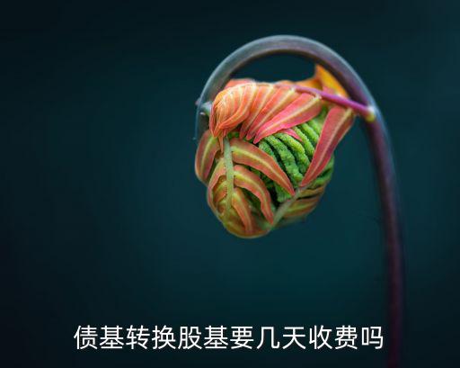 债基转换股基要几天收费吗