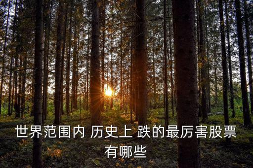 世界范围内 历史上 跌的最厉害股票有哪些
