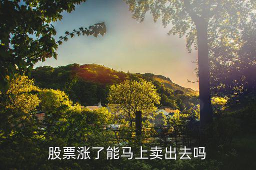 股票涨了能马上卖出去吗