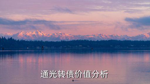 通光转债价值分析