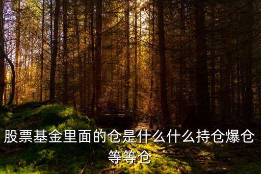 格为东持仓什么股票，股票基金里面的仓是什么什么持仓爆仓等等仓
