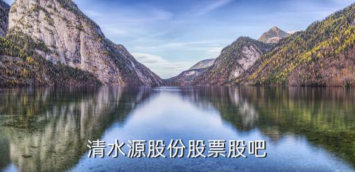 清水源股票怎么样，清水源股份股票股吧
