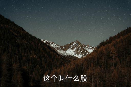 这个叫什么股