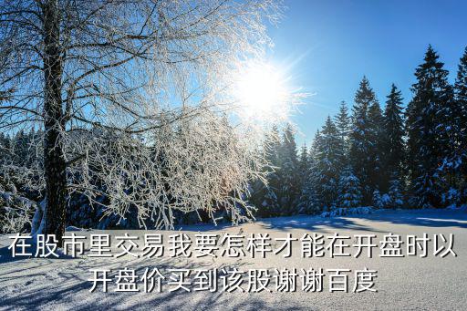 在股市里交易我要怎样才能在开盘时以开盘价买到该股谢谢百度