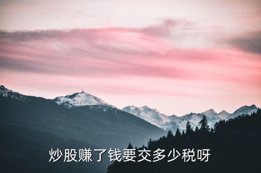 炒股赚了钱要交多少税呀