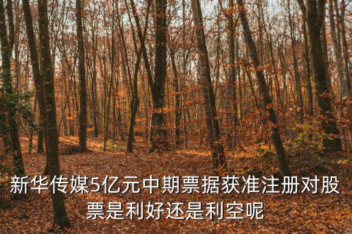 新华传媒5亿元中期票据获准注册对股票是利好还是利空呢