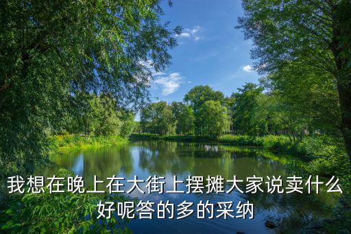 我想在晚上在大街上摆摊大家说卖什么好呢答的多的采纳