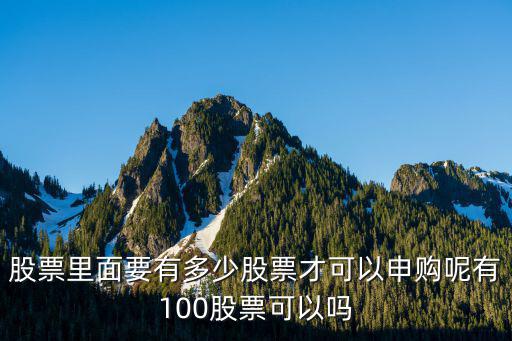 股票里面要有多少股票才可以申购呢有100股票可以吗