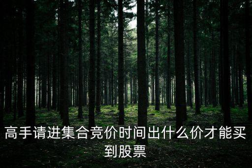 集合竞价找什么股票，开盘前的集合竞价当中的成交量前10名的股票从哪儿找