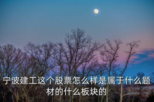 股票宁波建工代码是多少，我今天买了100元宁波建工股价格是878现在能赚多少