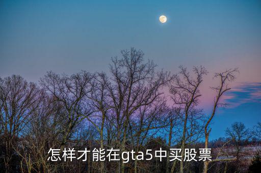怎样才能在gta5中买股票