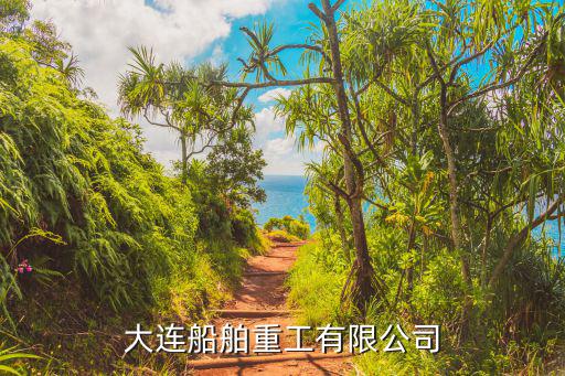 大连船舶重工有限公司