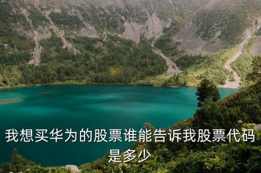 我想买华为的股票谁能告诉我股票代码是多少
