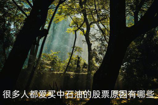 很多人都爱买中石油的股票原因有哪些