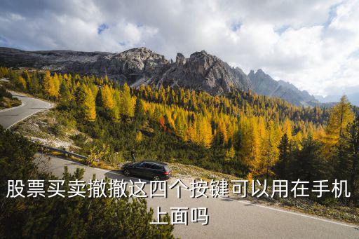 股票撤单怎么操作，股票买卖撤撤这四个按键可以用在手机上面吗