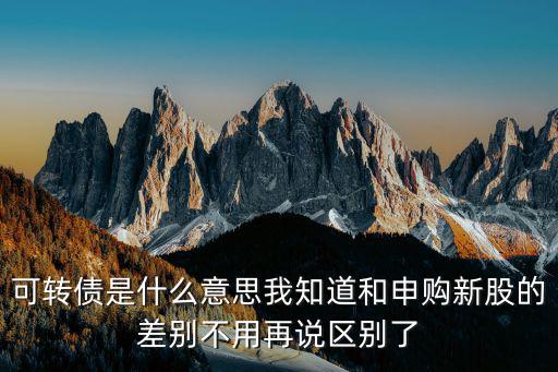 可转债是什么意思我知道和申购新股的差别不用再说区别了