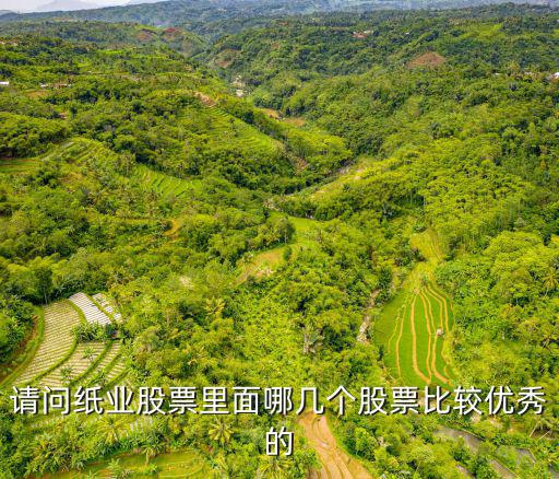 请问纸业股票里面哪几个股票比较优秀的