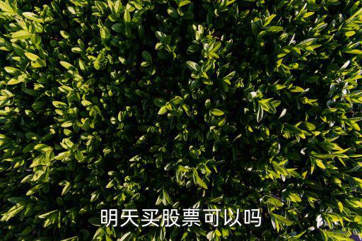 明天买股票可以吗