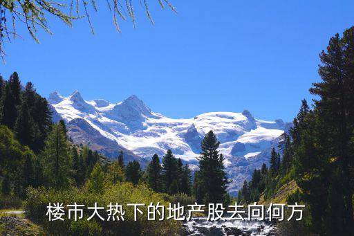 楼市大热下的地产股去向何方