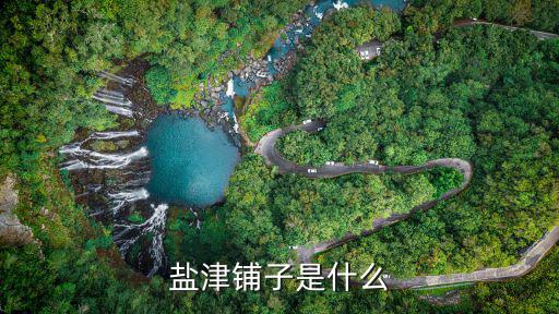 盐津铺子股票是什么版，601890是以什么为主的股票