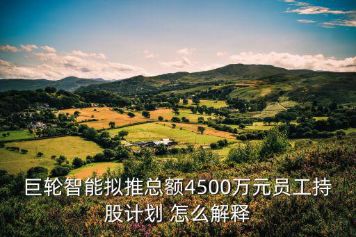 巨轮智能拟推总额4500万元员工持股计划 怎么解释