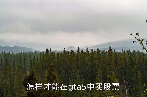 gta5单机怎么买股票，gta5投资股票技巧