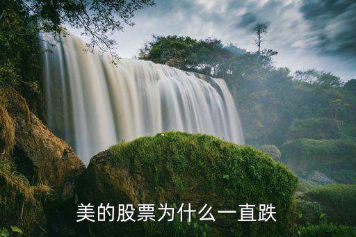 美的集团股票怎么了，美的电器股票是怎么回事呀