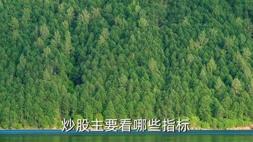 炒股主要看哪些指标