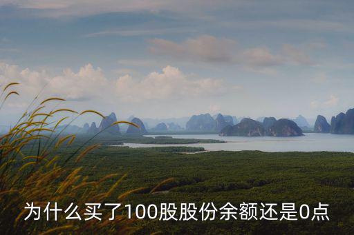 为什么买了100股股份余额还是0点