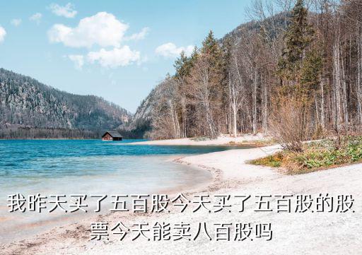 我昨天买了五百股今天买了五百股的股票今天能卖八百股吗