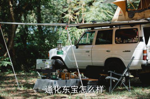 通化东宝怎么样