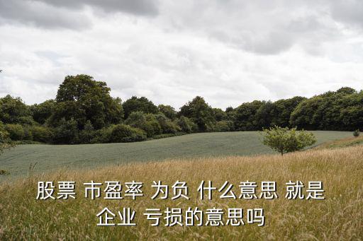 股票 市盈率 为负 什么意思 就是企业 亏损的意思吗