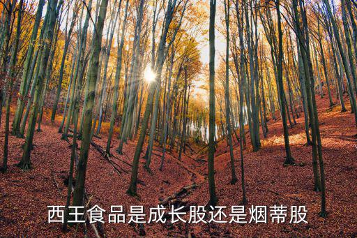 西王食品是成长股还是烟蒂股