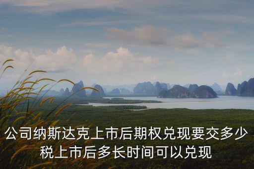 公司纳斯达克上市后期权兑现要交多少税上市后多长时间可以兑现