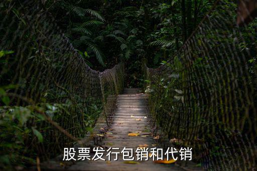 股票发行包销和代销
