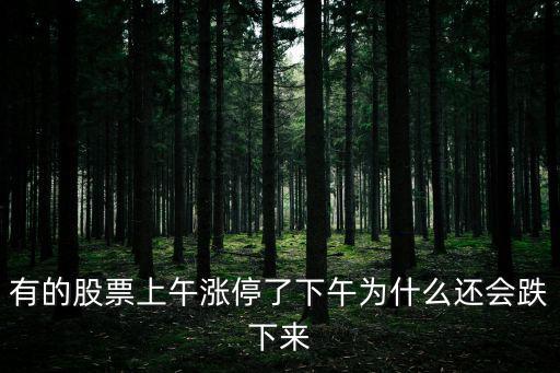 为什么上午股票会回落，有的股票上午涨停了下午为什么还会跌下来