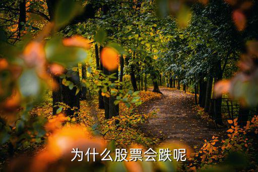 为什么股票会跌呢