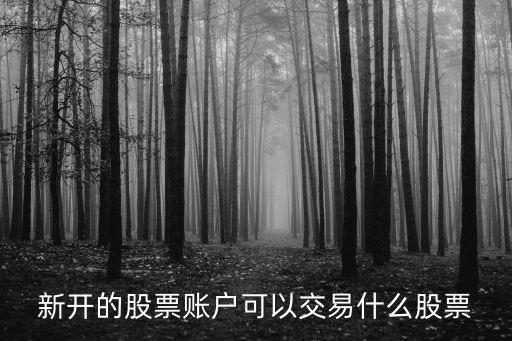 新开的股票账户可以交易什么股票