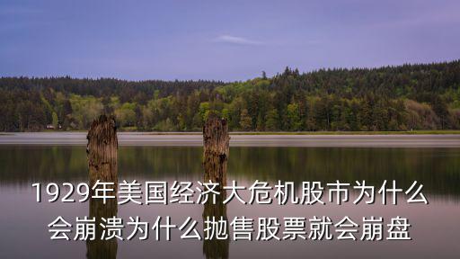 为什么美国股票遭到抛售，1929年美国经济大危机股市为什么会崩溃为什么抛售股票就会崩盘