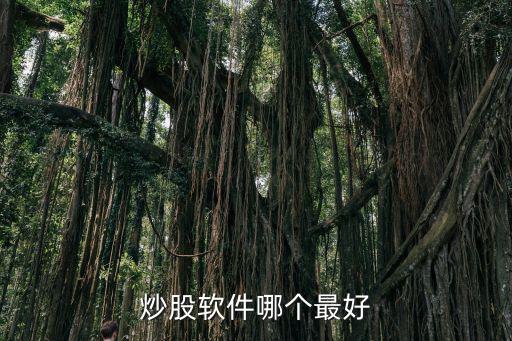 炒股软件哪个最好