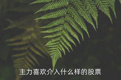 主力喜欢介入什么样的股票