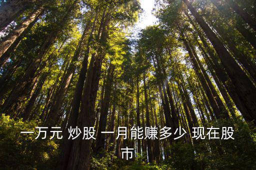 一万元 炒股 一月能赚多少 现在股市