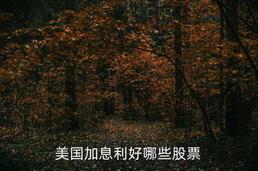 美股加息买什么股票，美国加息利好哪些股票