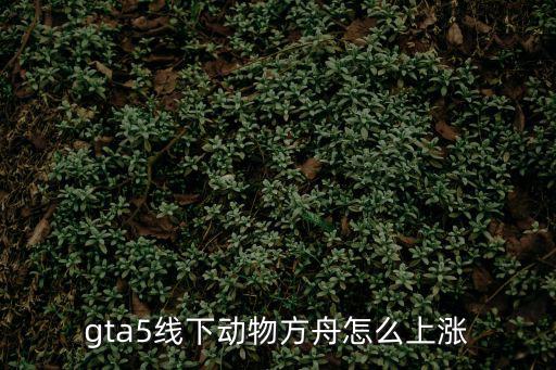 gta5线下动物方舟怎么上涨
