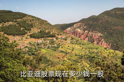 比亚迪股票现在多少钱一股